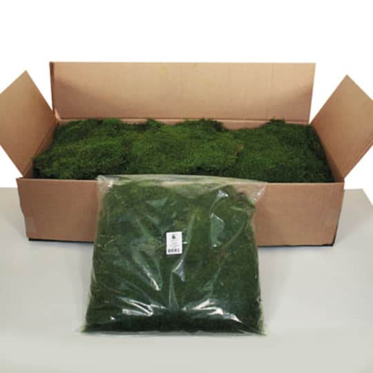 Preserved Green Sheet Moss Bag